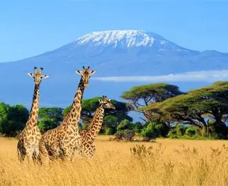 Kenia y Tanzania